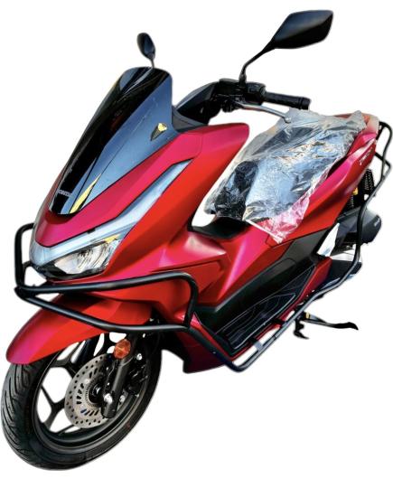 HONDA PCX 2021-2025 KORUMA DEMİRİ